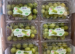 Khám phá vị ngọt và tươi mát của mẫu đơn 10h ngọt thơm