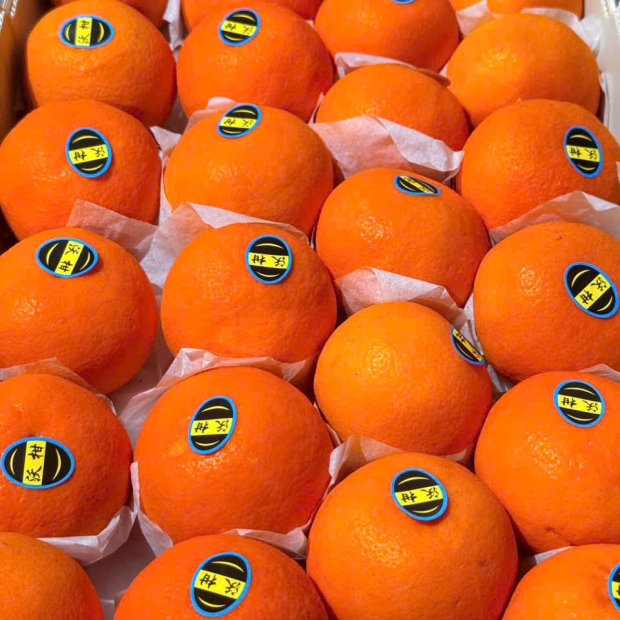 uýt Úc Giấy Thùng Cam – Lựa Chọn Đẳng Cấp Trong Thế Giới Trái Cây Nhập Khẩu Cao Cấp