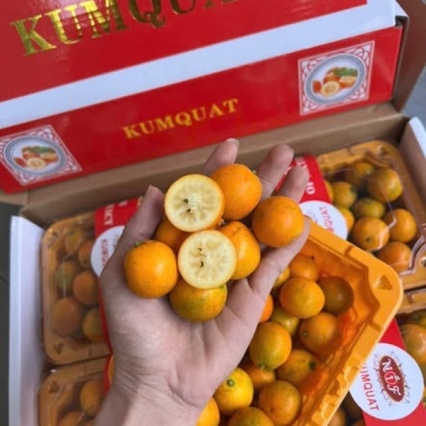 Lô Việt Quất & Kim Quất tươi ngon về Thủ Đức – Trái cây nhập khẩu chuẩn vị, giá tốt