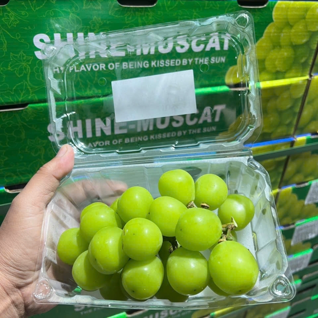 NHO MẪU ĐƠN 10 HỘP – SIÊU TO NGỌT LỊM, ĐỈNH CAO TRÁI CÂY NHẬP KHẨU CHỢ ĐẦU MỐI THỦ ĐỨC CAO CẤP