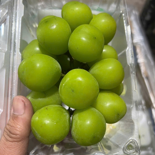 NHO MẪU ĐƠN 10 HỘP – SIÊU TO NGỌT LỊM, ĐỈNH CAO TRÁI CÂY NHẬP KHẨU CHỢ ĐẦU MỐI THỦ ĐỨC CAO CẤP