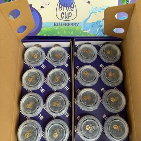 Lô Việt Quất & Kim Quất tươi ngon về Thủ Đức – Trái cây nhập khẩu chuẩn vị, giá tốt