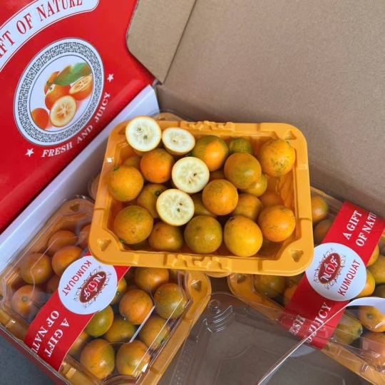 Lô Việt Quất & Kim Quất tươi ngon về Thủ Đức – Trái cây nhập khẩu chuẩn vị, giá tốt