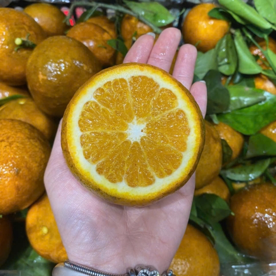 Quýt Sim Rổ – Trái Cây Tươi Ngon Được Ưa Chuộng Tại Trái Cây Nhập Khẩu Thủ Đức