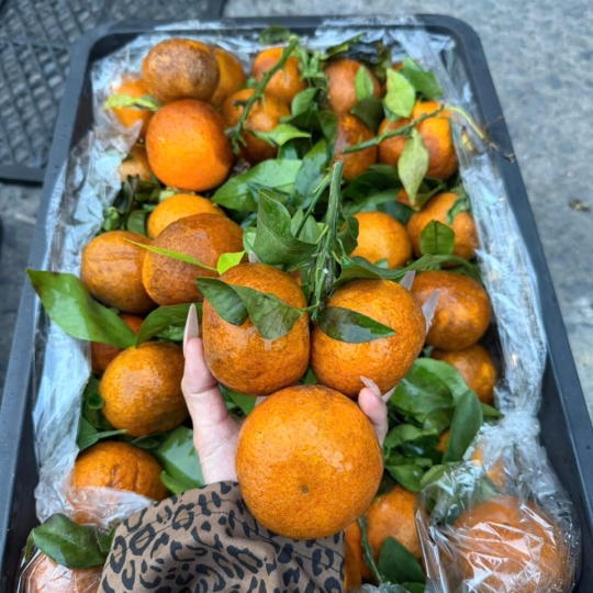 Quýt Sim Rổ – Trái Cây Tươi Ngon Được Ưa Chuộng Tại Trái Cây Nhập Khẩu Thủ Đức