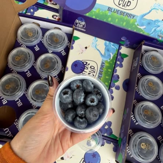 Lô Việt Quất & Kim Quất tươi ngon về Thủ Đức – Trái cây nhập khẩu chuẩn vị, giá tốt